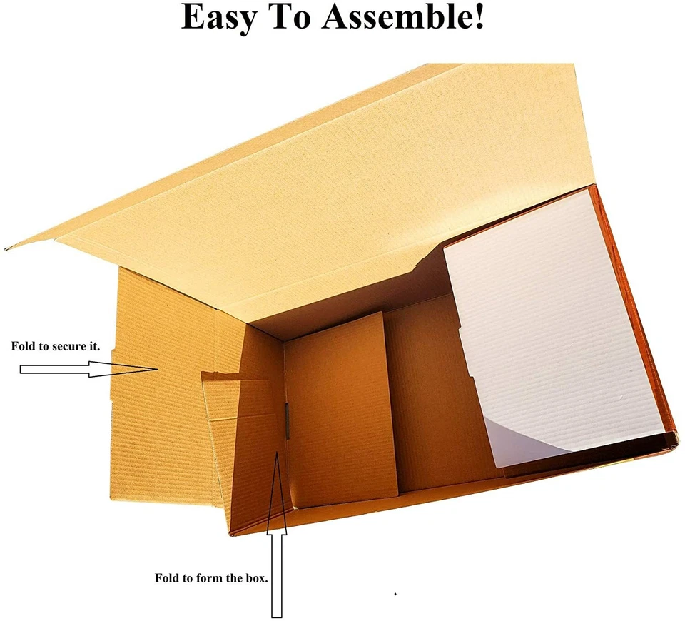 Caja de cartón Treasure Chest (16" x 9"). Marrón y dorado. Foto 3 de 4