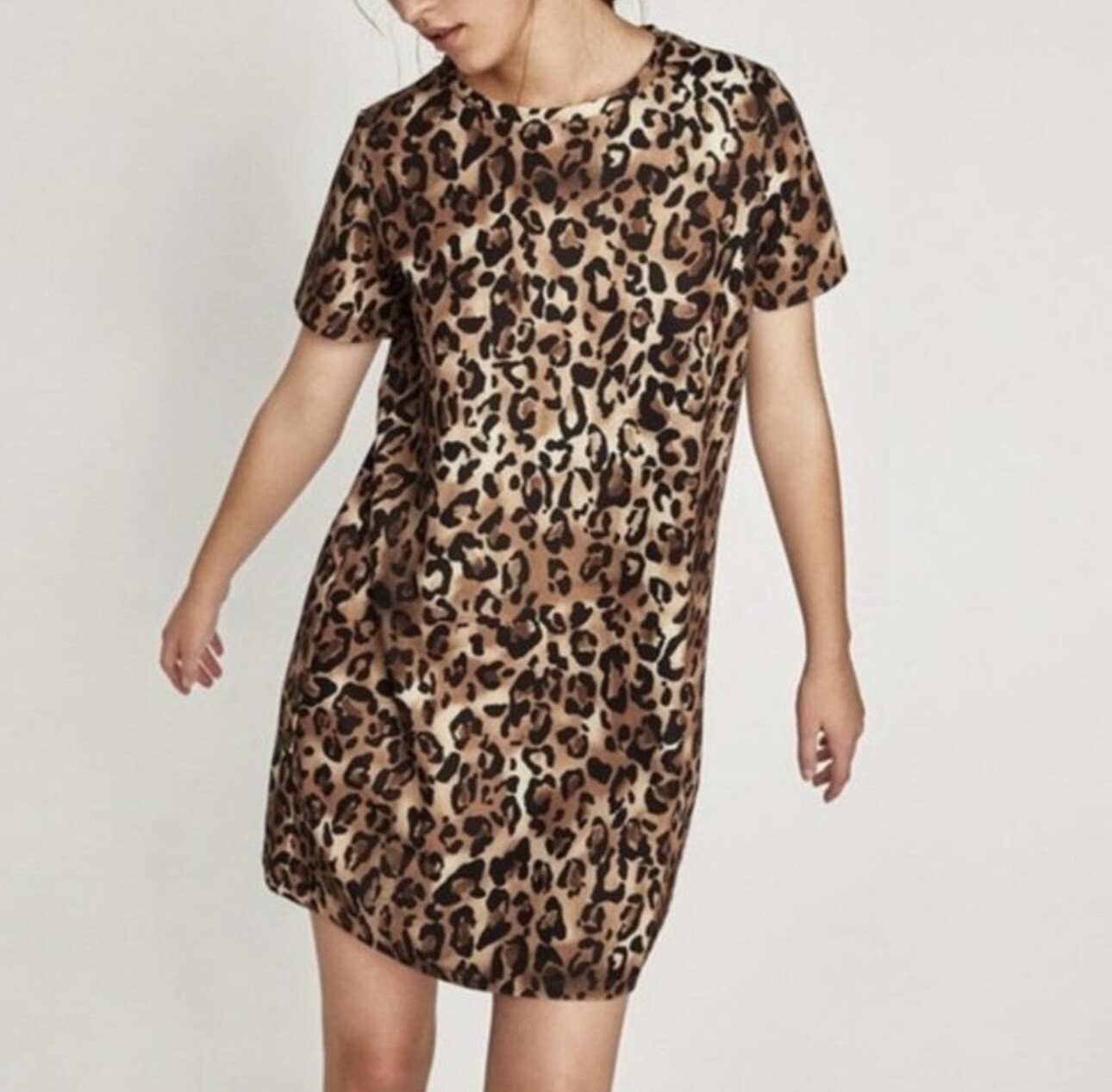 Zara Trafaluc NWT Leopard Animal Print Short Sleeve Mini Shift Dress Size Small