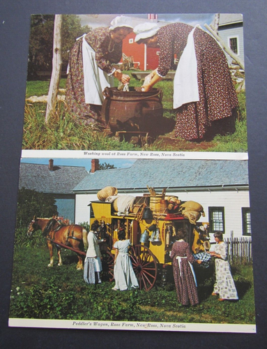 4 Vintage Nova Scotia 2 * Gulls 2 * Ross Farm Chrome Postcards Free shipping - Picture 5 of 6
