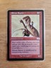 Shivan Raptor - Urza's Saga - MTG Magic - Uncommon - Red Creature