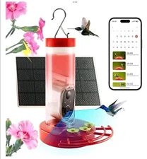 Smart Hummingbird Feeder With Camera & Solar Panel / Idea Present For Holidays