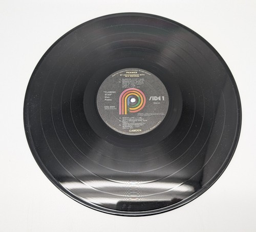 ELVIS PRESLEY Sings Flaming Star LP Vinyl Record Album 1975 Reissue CAS-2304 - Picture 13 of 14