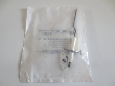 Électrode de Surveillance Cgb 11-100 Wolf 8603059 