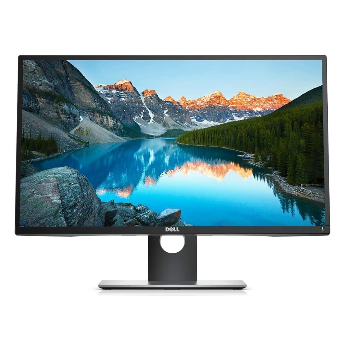 Dell Professional P2017H 20