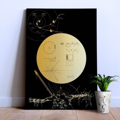 Voyager 1 Golden Record   Space poster, Science art print, NASA wall decor