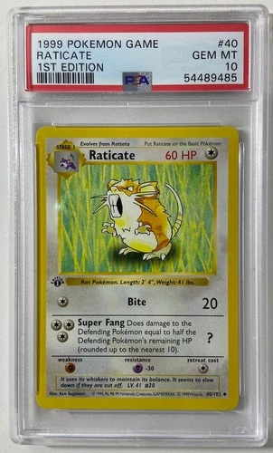 Pokemon - Base Set 1st Edit. 1999 Shadowless "RATICATE" PSA 10 Gem/Mint #40/102.