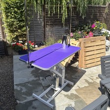 Pedigroom Elite Hydraulic Dog Grooming Table With H Bar 