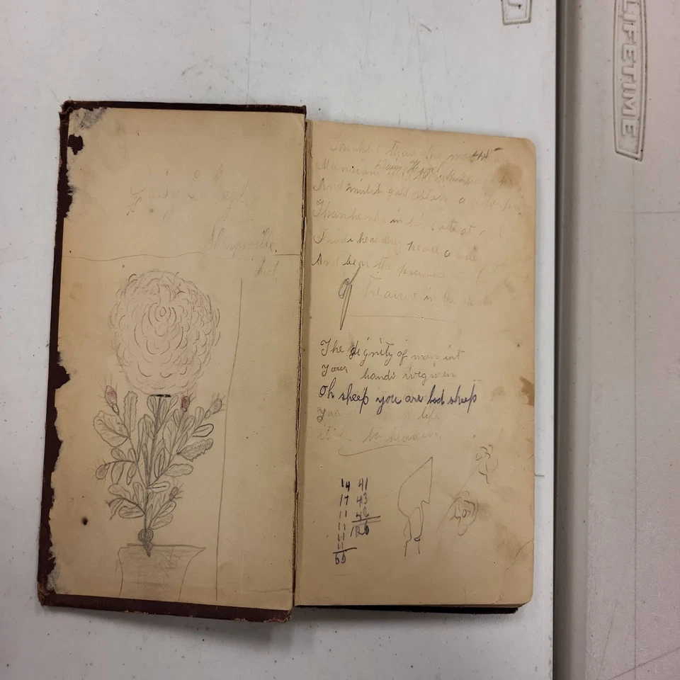 Robinson's Shorter Course First Book Arithmetic 1880s Antique School Book Math Foto 4 de 4