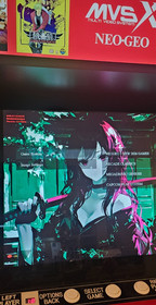 MVSX neo geo HyloX Arcade all in 1 + Internal Cable Upgrade Your Cabinet