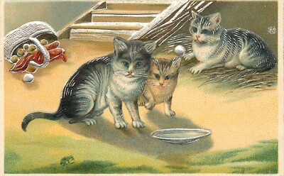 Embossed Cat Postcard ASB 220 Kittens Watch Tiny Frog Silver Detail ...