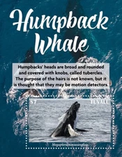 Tuvalu 2022 - Humpback Whales, Marine Life - Souvenir Stamp Sheet - MNH