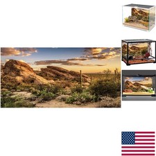 Vibrant 36x18 Durable Polyester Terrarium Background - Oasis Desert Scene