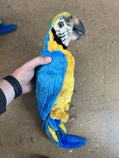 Excellent Condition Fur Real Friends Parrot, Talks, Moves And Blinks Eyes READ
