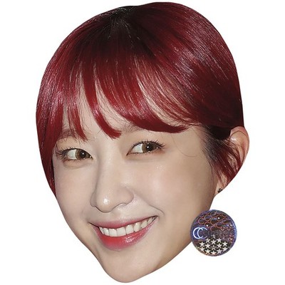 Hani (EXID) Promi Maske, flaches Kartengesicht, Kostüm Maske