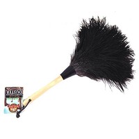 Ostrich Feather Dusters 13, New, Free Shipping on sale Ostrich Feather Dusters 13, New, Free Shipping on sale