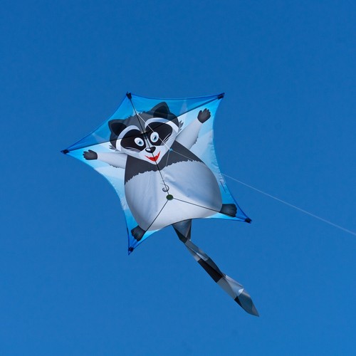 CIM Drachen Penta Waschbär 167cm x 102cm Einleiner Flugdrachen Kinder Schnur - Bild 2 von 5