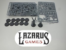 Warhammer FB High Elves AoS Order Lumineth Realm-Lords: Vanari Auralan Wardens