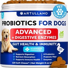 Probiotics for Dogs - Support Gut Health, Itchy Skin, Allergies, 120 Treats