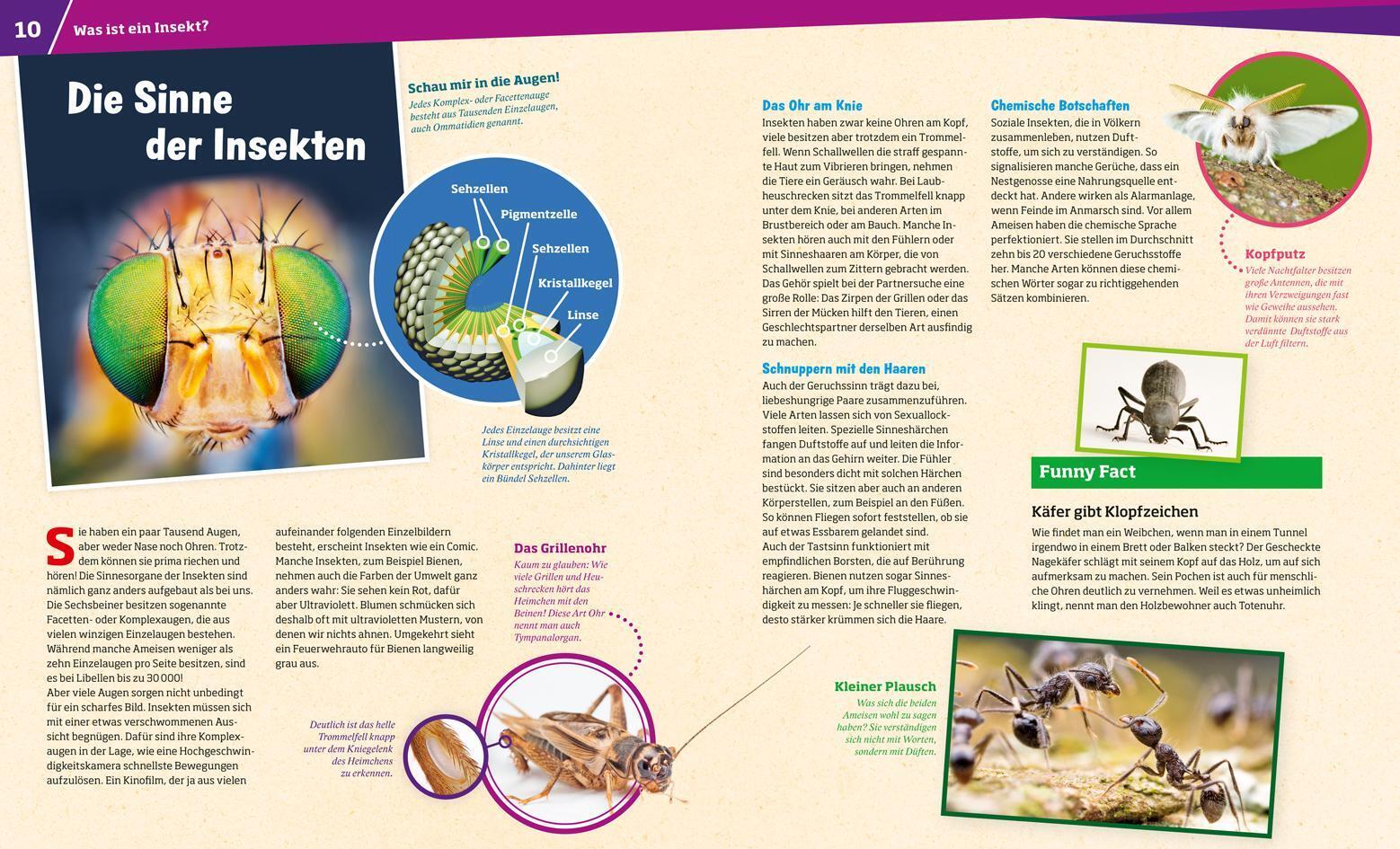Thumbnail - Was Ist Was Band 30 Insekten. Überlebenskünstler Auf Sechs Beinen |