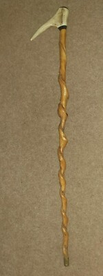 Einzigartiger Reitstock. In Hand Showing Cane. Reitgerte,