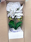 Valerie Parr Hill White Orchid Arrangement in Decorative Ceramic Pot QVC 25th