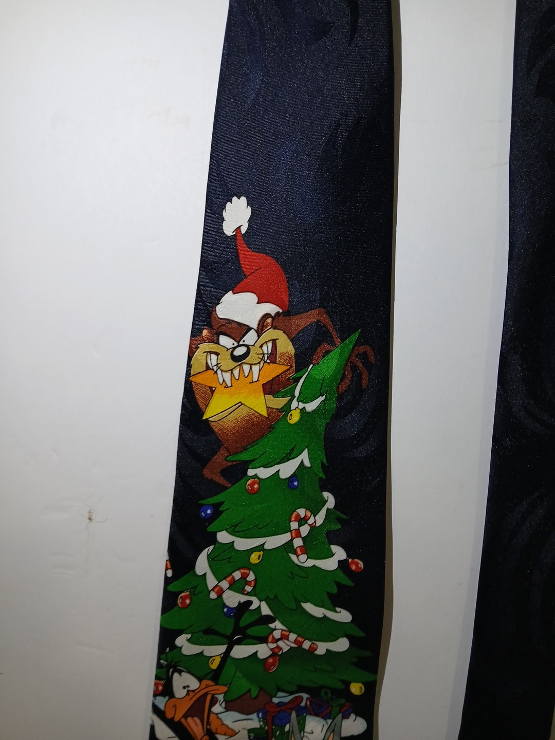 Picture 4 of 11