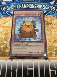 Quillbolt Hedgehog LC5D-EN005 Legendary Collection 5D's 1st Edition Secret Rare
