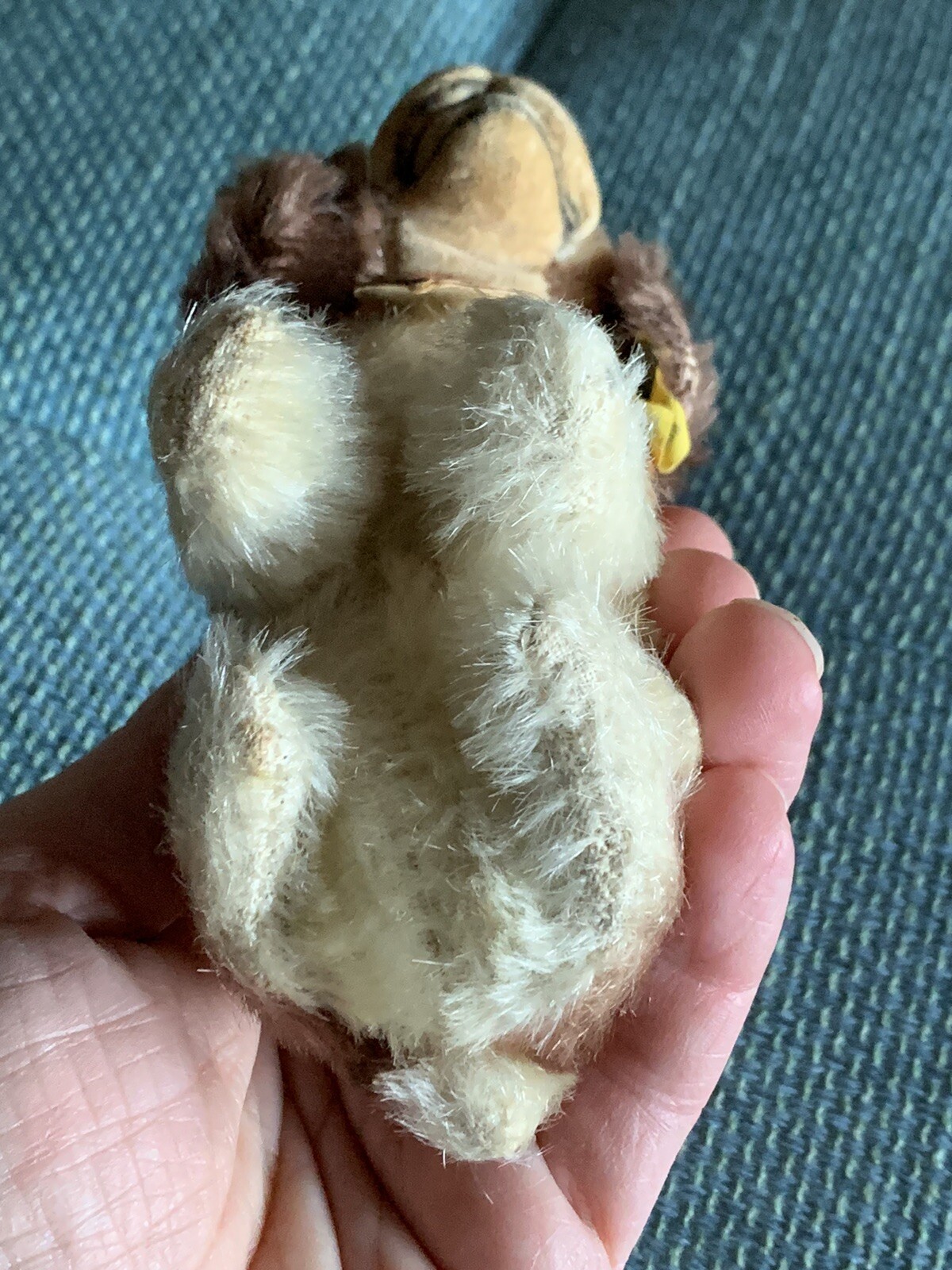 Picture 5 of 7