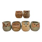Miniature OWL succulent flower Planter Set (6 pc) Painted Glazed Pots Bird Decor
