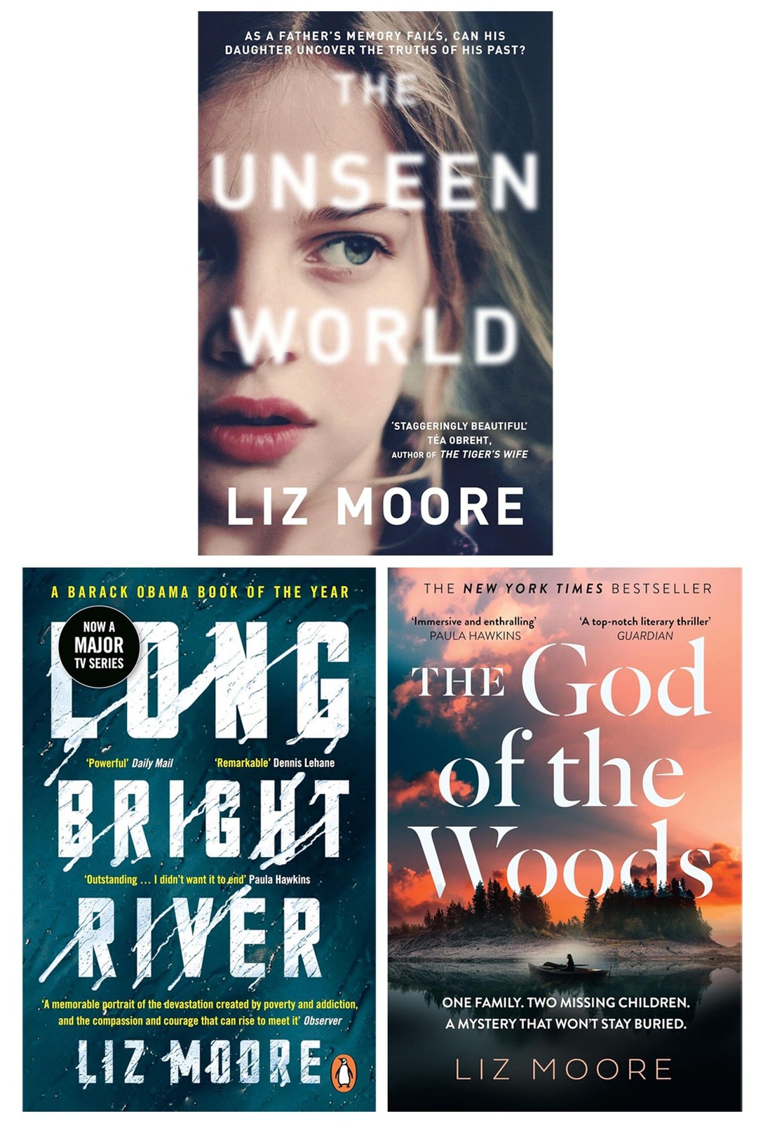 Liz Moore Collection 3 Books Set - Fiction - Paperback