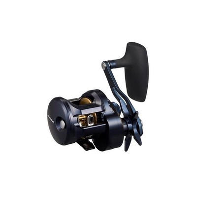 Daiwa 25 Saltiga 300HL Jigging Reel, Left-Handed | eBay