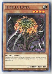 Ibicella Lutea MP21-EN009 Common 1st Edition Yu-Gi-Oh