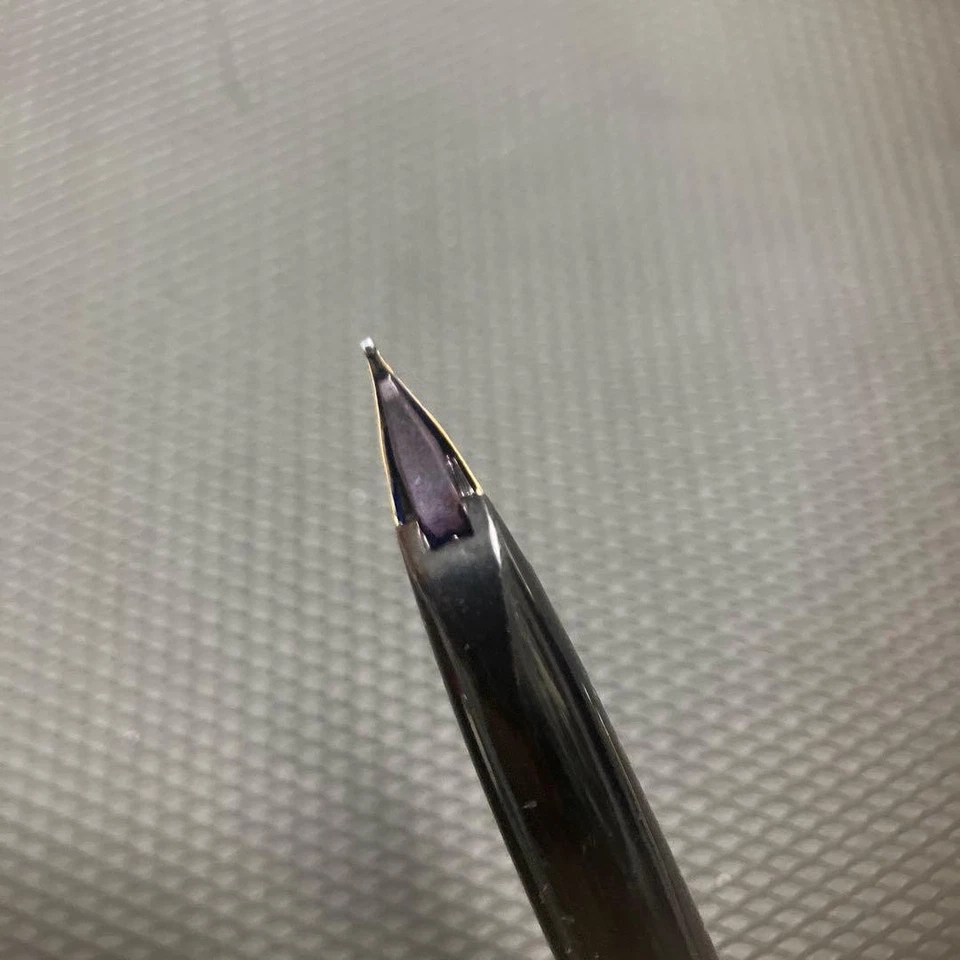 Pluma Estilográfica Pilot Elite Oro 18K Plumín De Colección Rara Coleccionable Herramienta de Escritura Foto 3 de 4