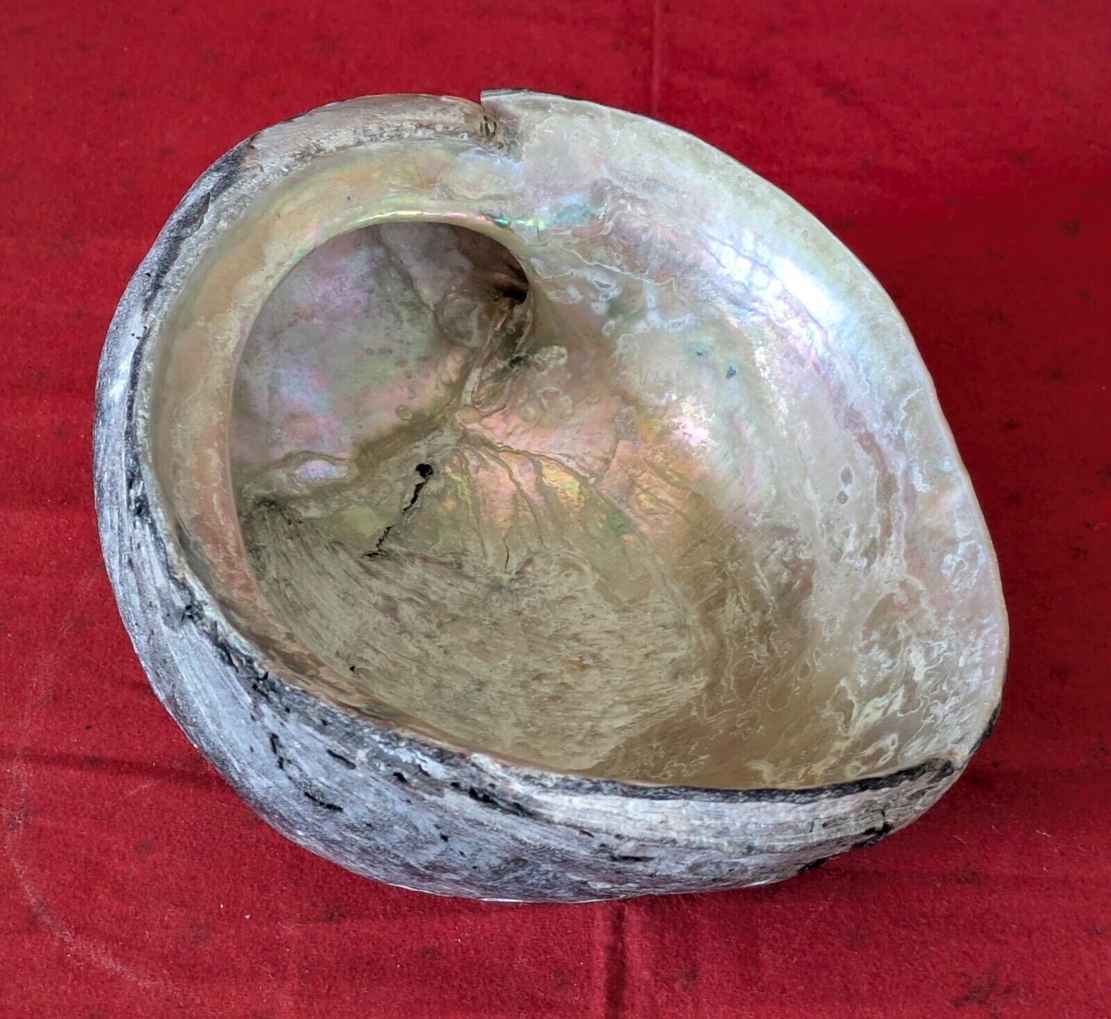 Picture 10 of 20
