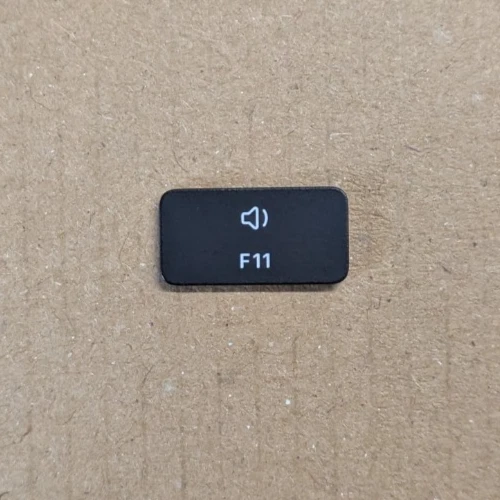 F11 Key 2020-2021