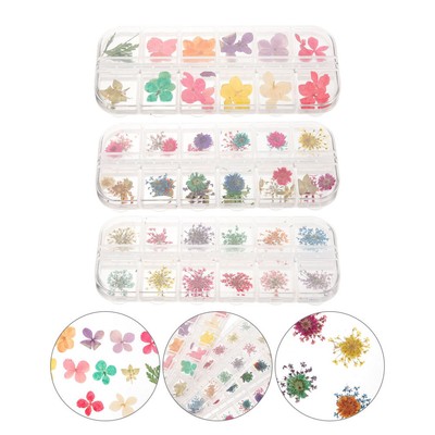 3 Box Harz Getrocknete Einfache Dekoration Modische Baby