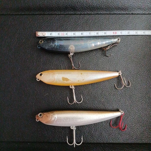 Lucky Craft Sammy Set Of 3 Lure