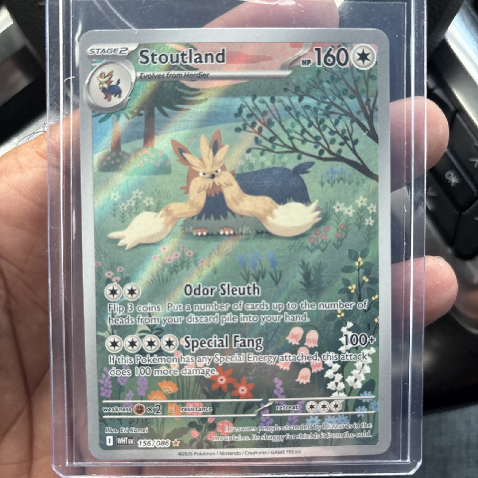 Pokemon TCG Stoutland 156/086