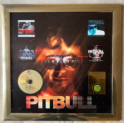 Pitbull German Gold Award / Hey Baby / Rain over me / Give me everything / CD