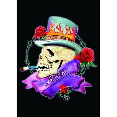 Poison Smoking Skull Band Logo Postcard Picture Album Cover Image 100 Official Ebay