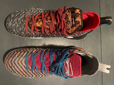 lebron 16 what the