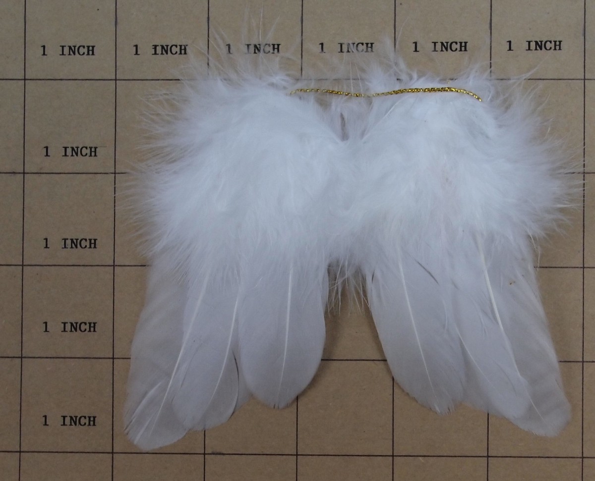 WHITE ANGEL フィッシュ　5'10 WHITE ANGEL フィッシュ 5'10 - メルカリ