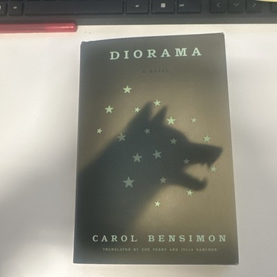 Diorama by Carol Bensimon, English Fiction Novel, Hardcover Book