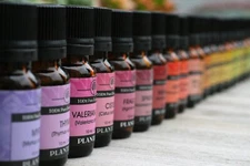 Plantlife 100% Pure Therapeutic Grade Essential Oil: 10ml for Health & Wellbeing