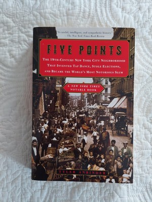 Five Points the 19th Century New York City Neighborhood by Tyler Anbinder 2002