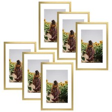 16x24 Gold Picture Frame for 12x18 with Mat or Without Mat Glass Wall Mount 6 Pa