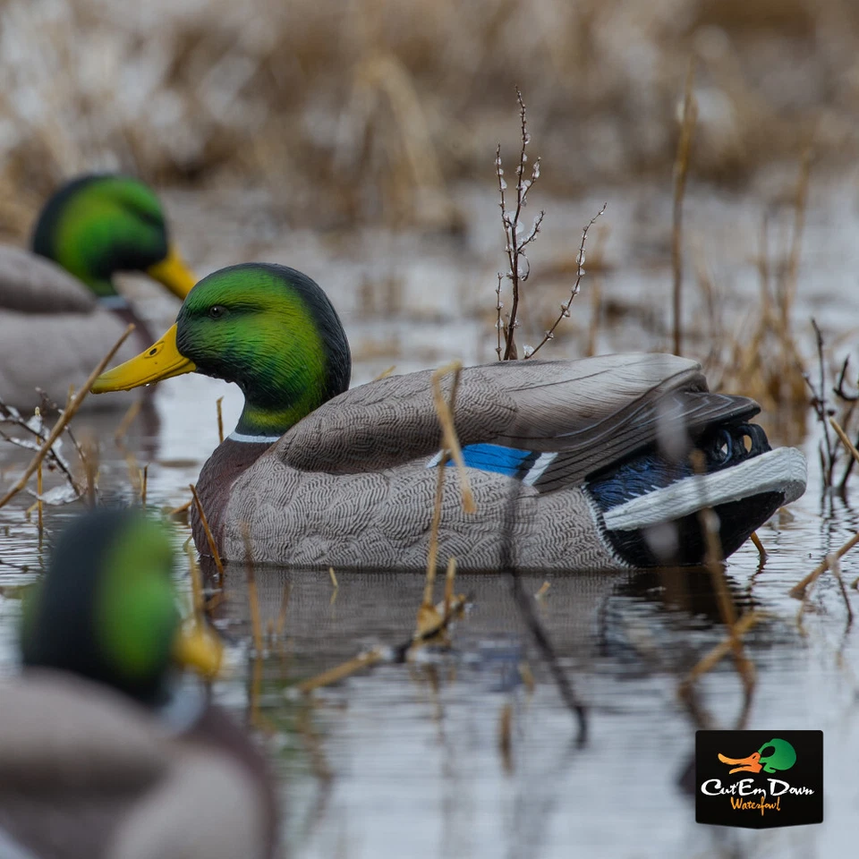 AVERY GREENHEAD GEAR GHG XD SERIES PG MALLARD DUCK DECOYS HARVERSTER PACK 12 - Image 3 of 4