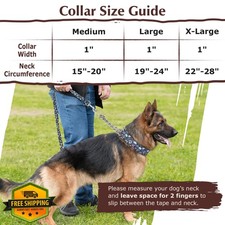 Martingale Dog Collar Skull L - No Choke Training Slip Chain