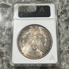 1880-S Morgan Dollar, old ANACS MS64, toned — photo 2
