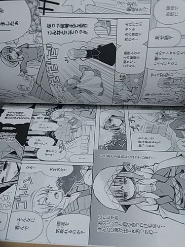 Gewürz und Wolf Dengeki Ookami zu Koushinryou Fanbuch - Bild 4 von 5